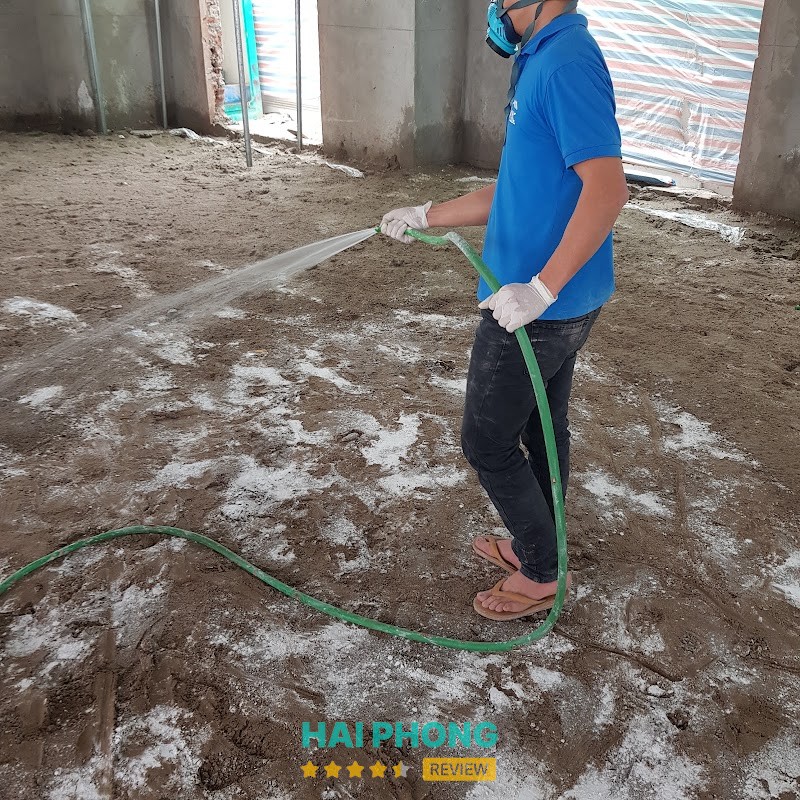 Công ty Diệt Mối và Côn Trùng Trần Anh Hải Phòng