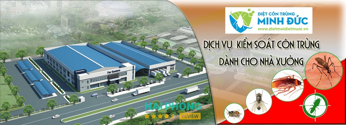 Dịch vụ diệt côn trùng Minh Đức – hình ảnh 2
