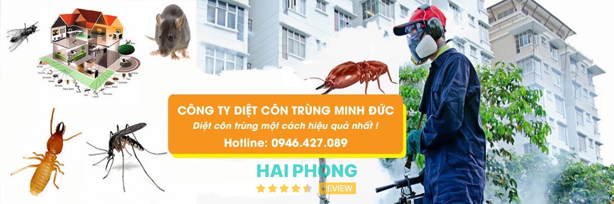 Dịch vụ diệt côn trùng Minh Đức – hình ảnh 3