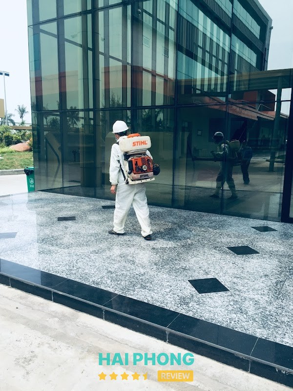 Công ty diệt chuột diệt mối côn trùng Hải Phòng
