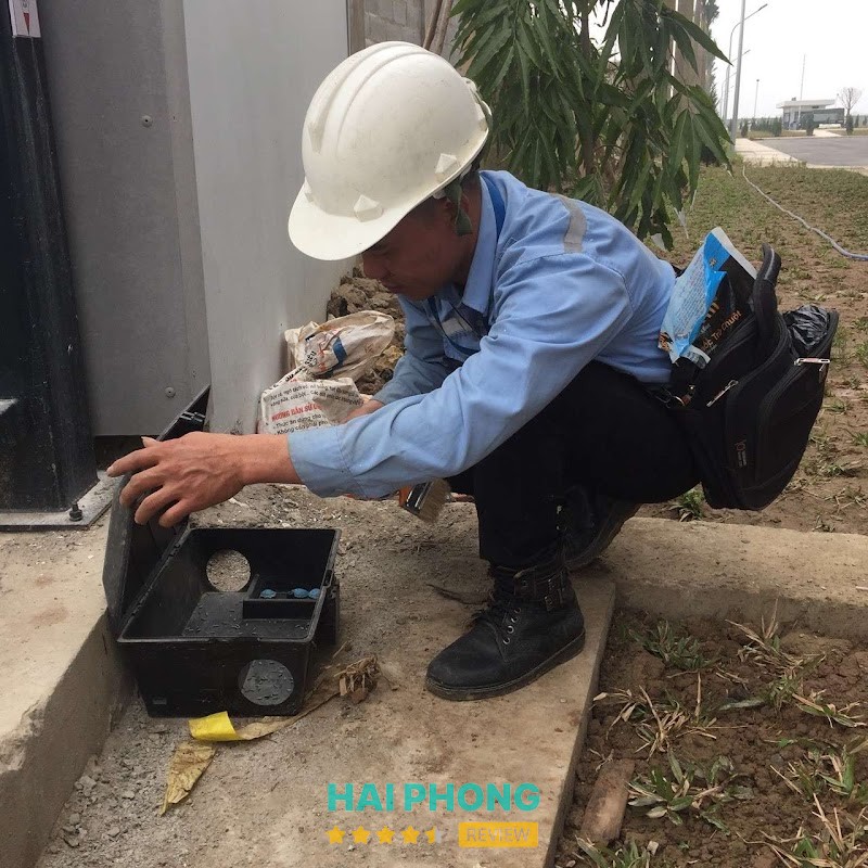 Công ty diệt chuột diệt mối côn trùng Hải Phòng – hình ảnh 2