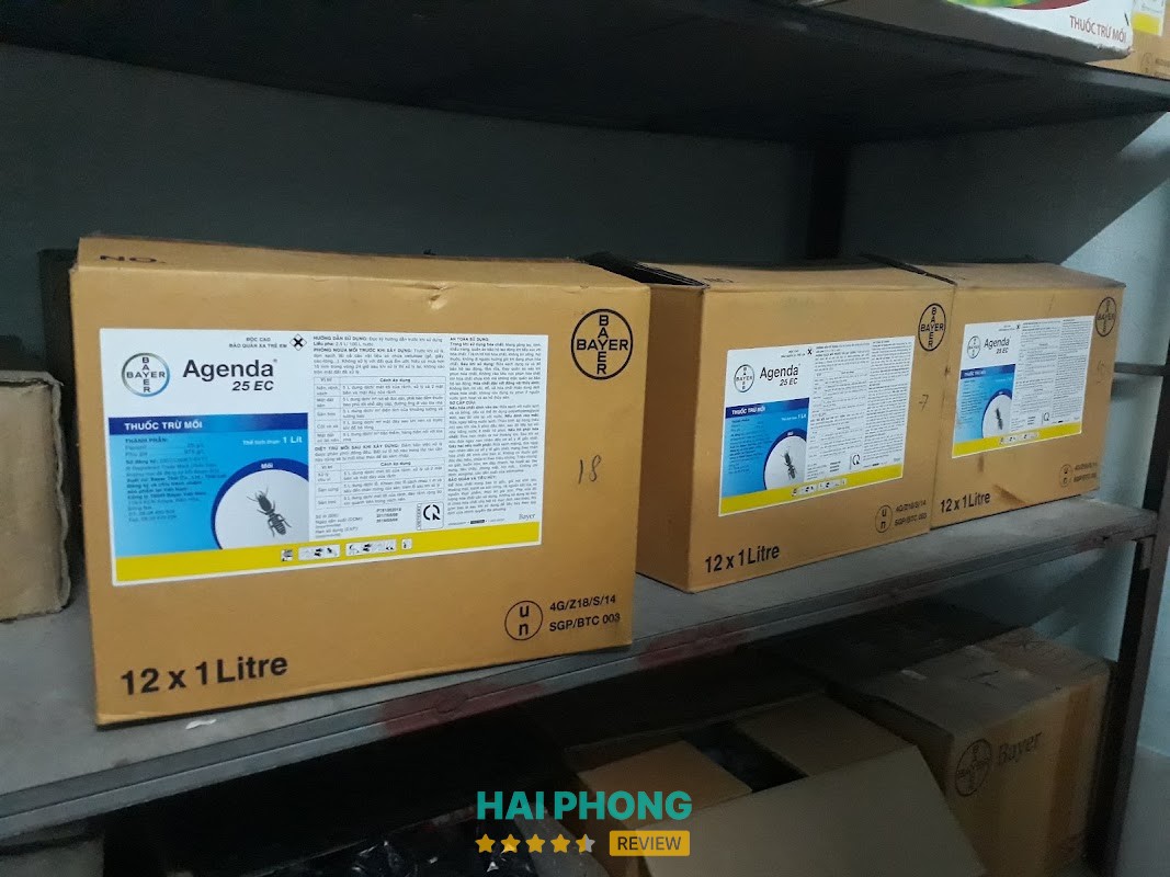 Phòng chống mối công trình tại Hải Phòng – hình ảnh 2