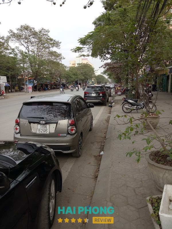 cho thuê xe tự lái có lái Hải Phòng