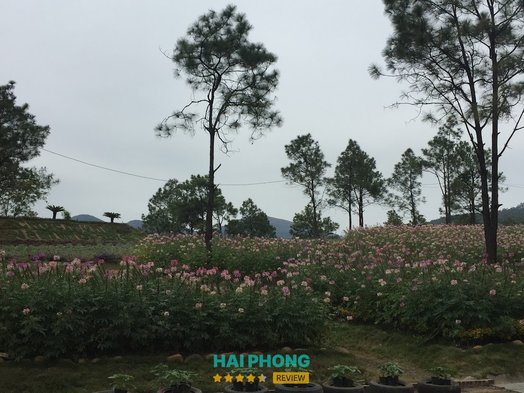 cho thuê xe tự lái có lái – hình ảnh 3