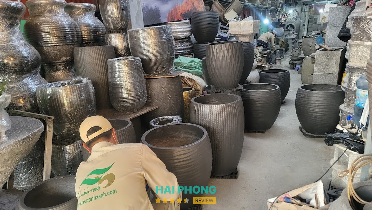 Tiểu Cảnh Xanh – hình ảnh 3