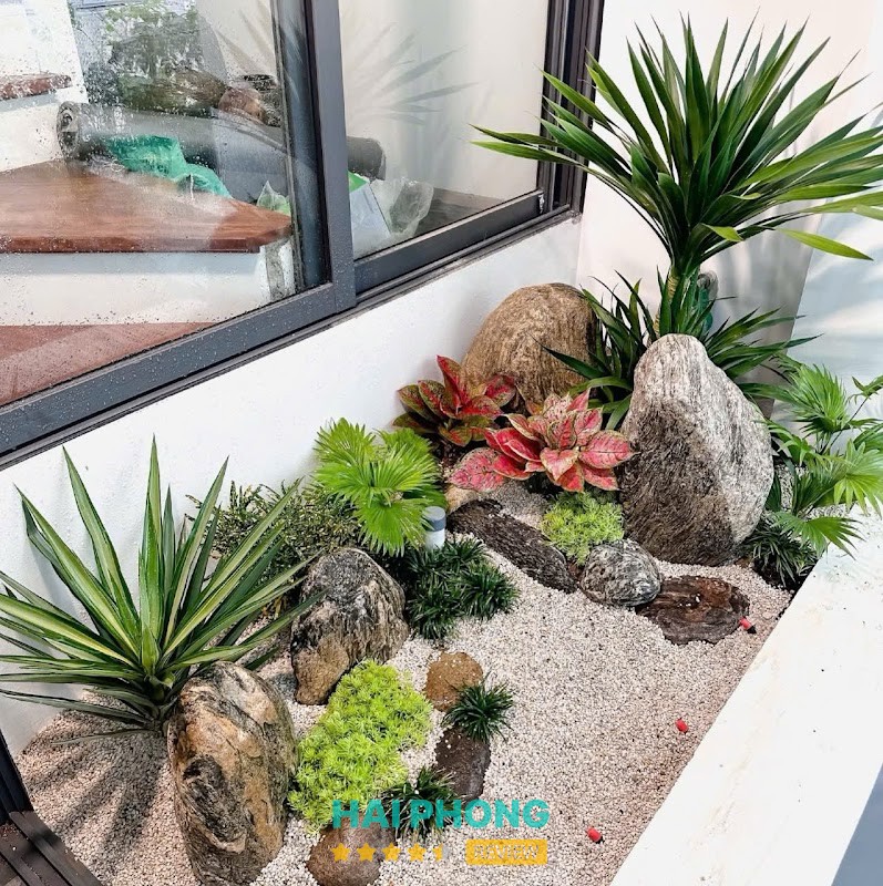 Nghệ Thuật Cây Cảnh 3 Miền – hình ảnh 3