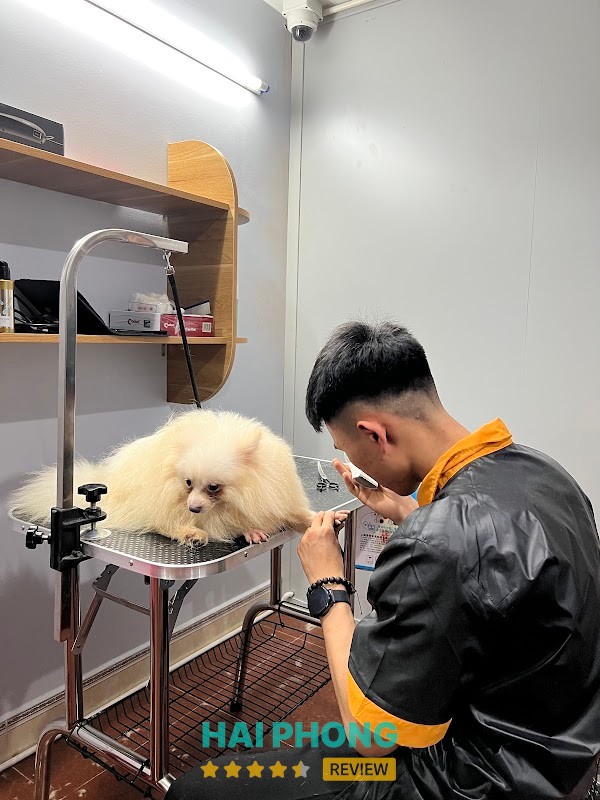 Beem Pet Shop – hình ảnh 2