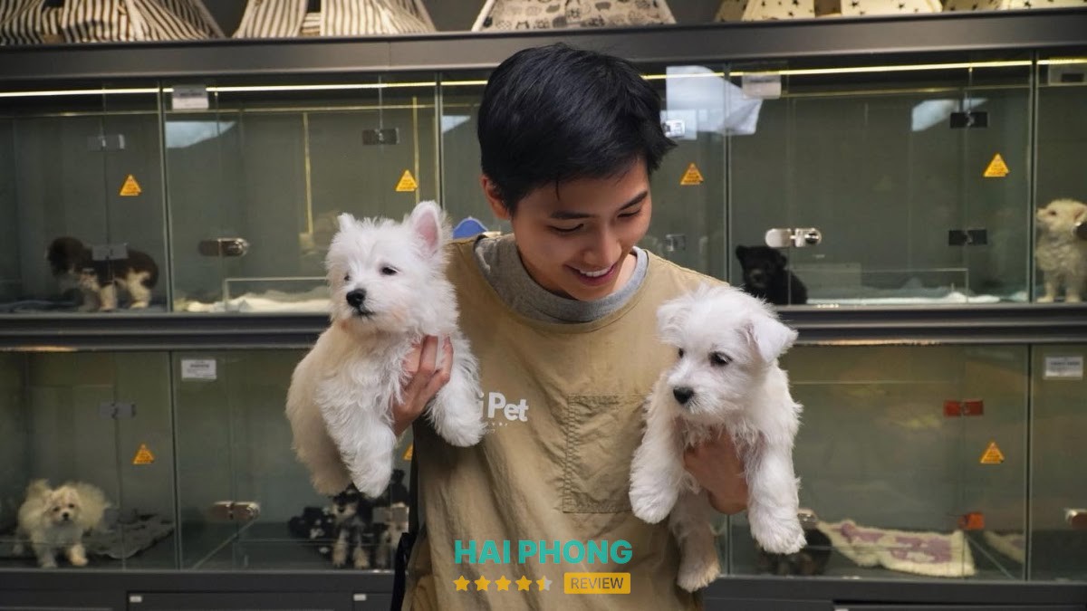AiNi Pet - Đẳng Cấp Thú Cưng Hải Phòng
