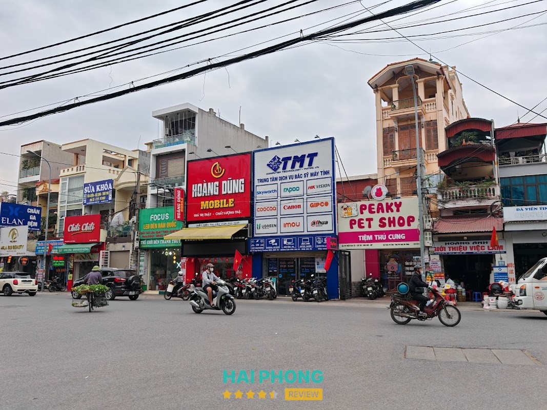 Peaky Pet Shop - Shop Thú Cưng Hải Phòng Hải Phòng