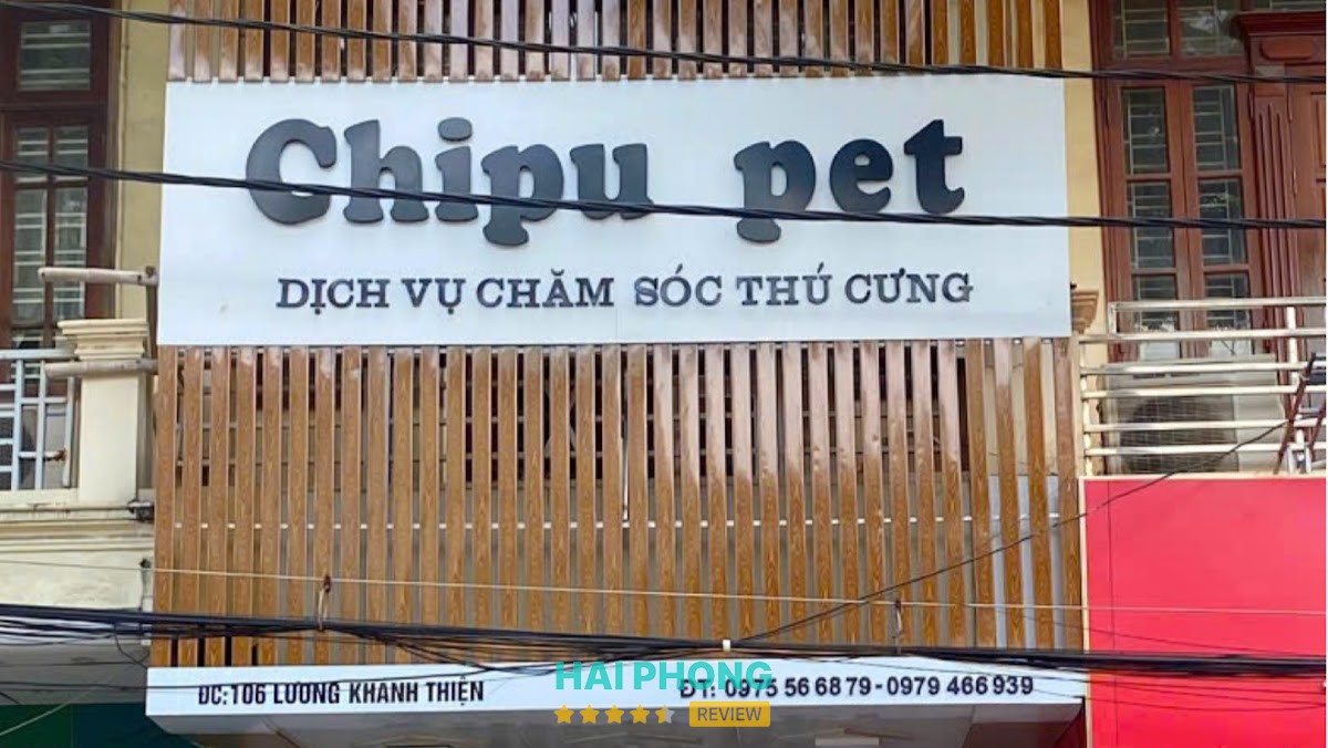 Chipu Pet - Dịch vụ chăm sóc thú cưng Hải Phòng Hải Phòng