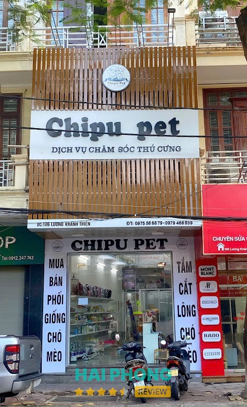 Chipu Pet - Dịch vụ chăm sóc thú cưng Hải Phòng – hình ảnh 3