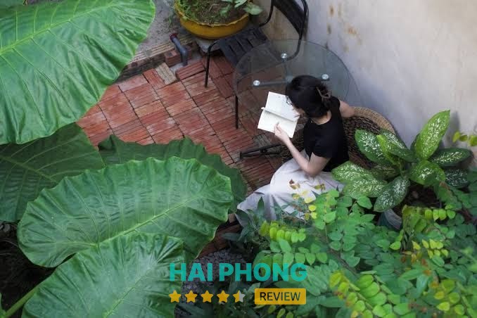 oc homestay CAT BA - hình ảnh 2