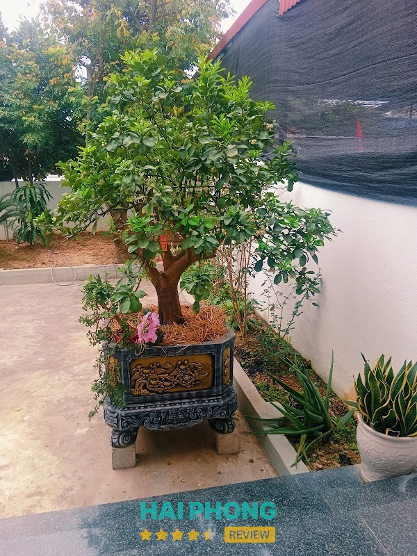 An Farm An Dương