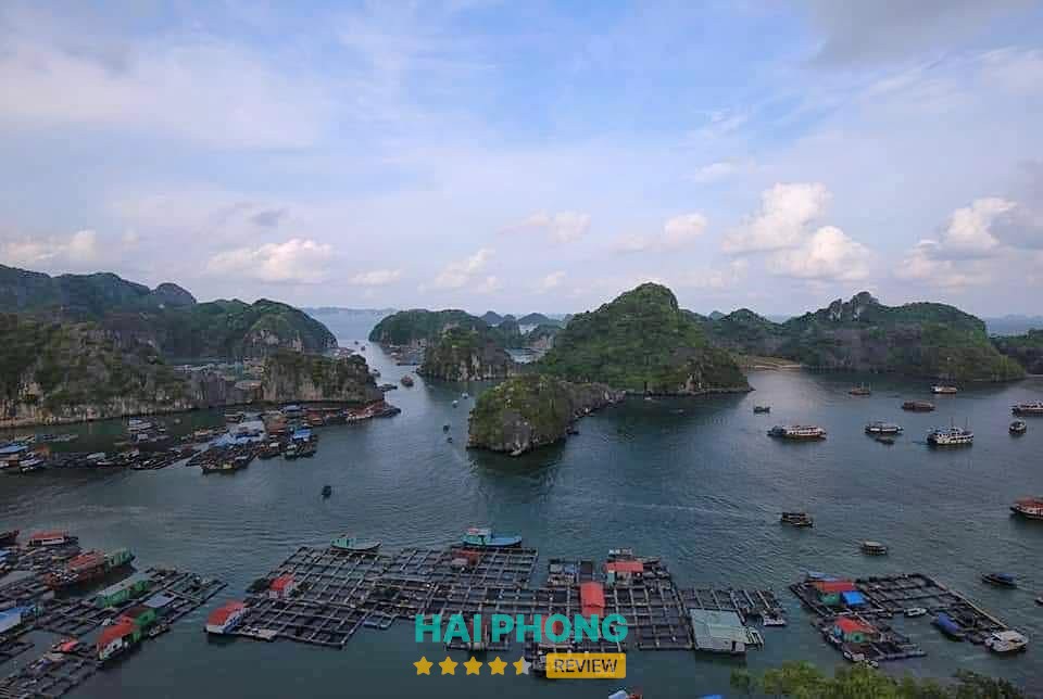 Động Thiên Long – hình ảnh 3