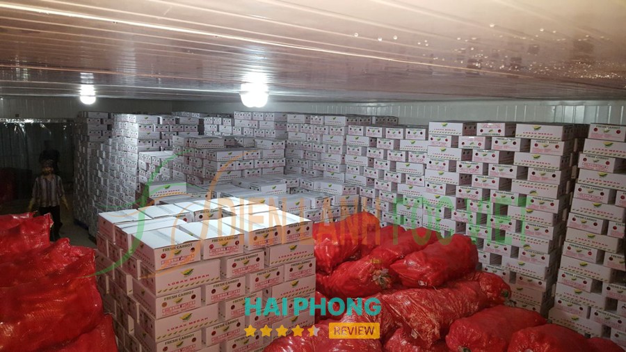 Lắp Đặt Kho Lạnh Foc Việt – hình ảnh 3