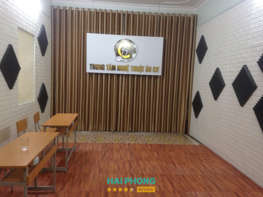 Trung Tâm Nghệ Thuật Âu Cơ – hình ảnh 3