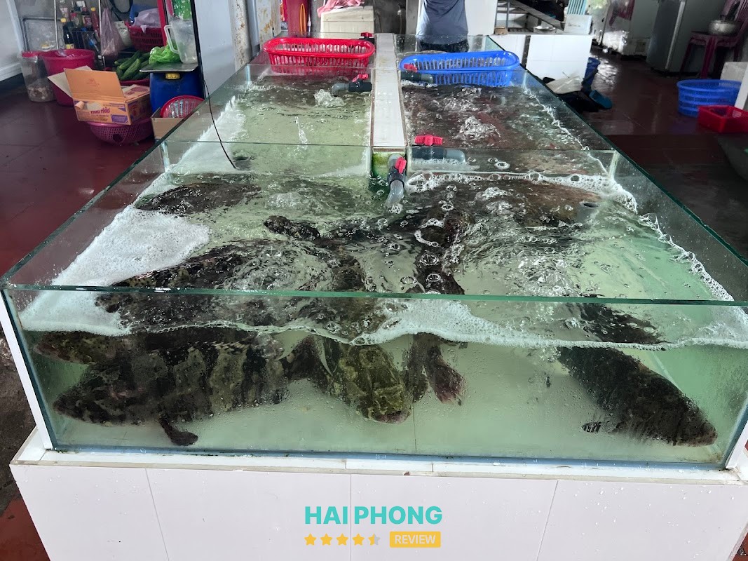 NHÀ HÀNG ĐỒ SƠN 689 – hình ảnh 2