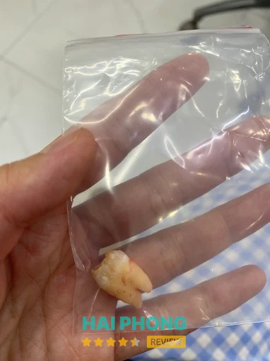 Nha khoa Đất Cảng tại Gia Viên