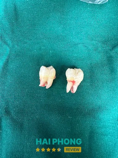 Không gian Mirai Dental Hải Phòng