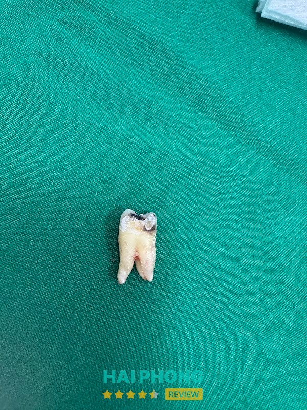 Nha khoa Nụ cười Quân nhân hình ảnh 3
