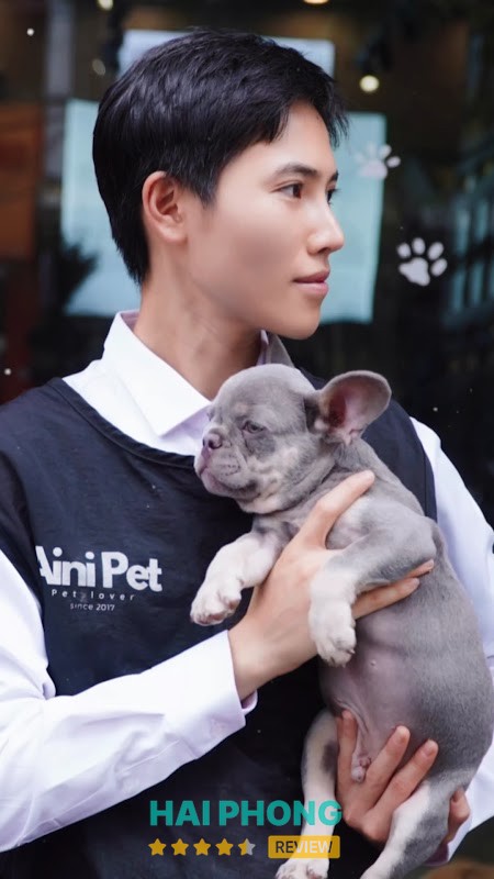 AiNi Pet - Đẳng Cấp Thú Cưng – hình ảnh 2