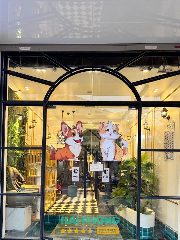 Mây Pet & Spa - hình ảnh 2
