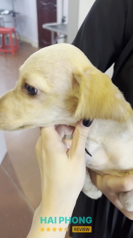 Beem Pet Shop - hình ảnh 2