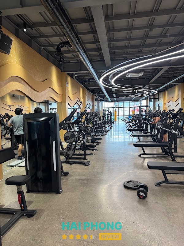M GYM cở sở 2 – hình ảnh 2