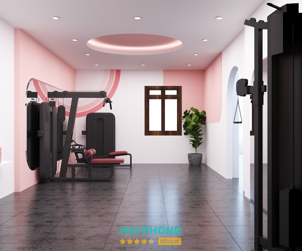 Phòng Tập Ladysfit Hải Phòng - Tô Hiệu