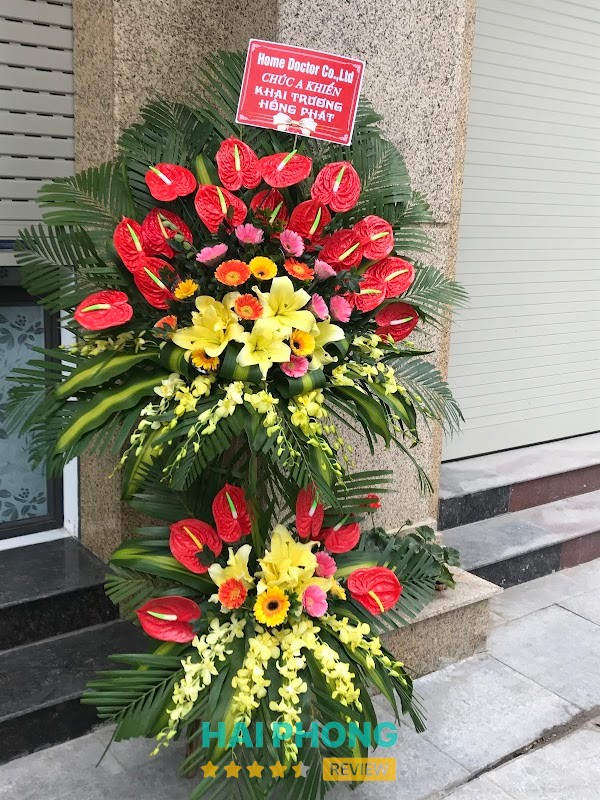 Vật lý trị liệu Hải Phòng – hình ảnh 2