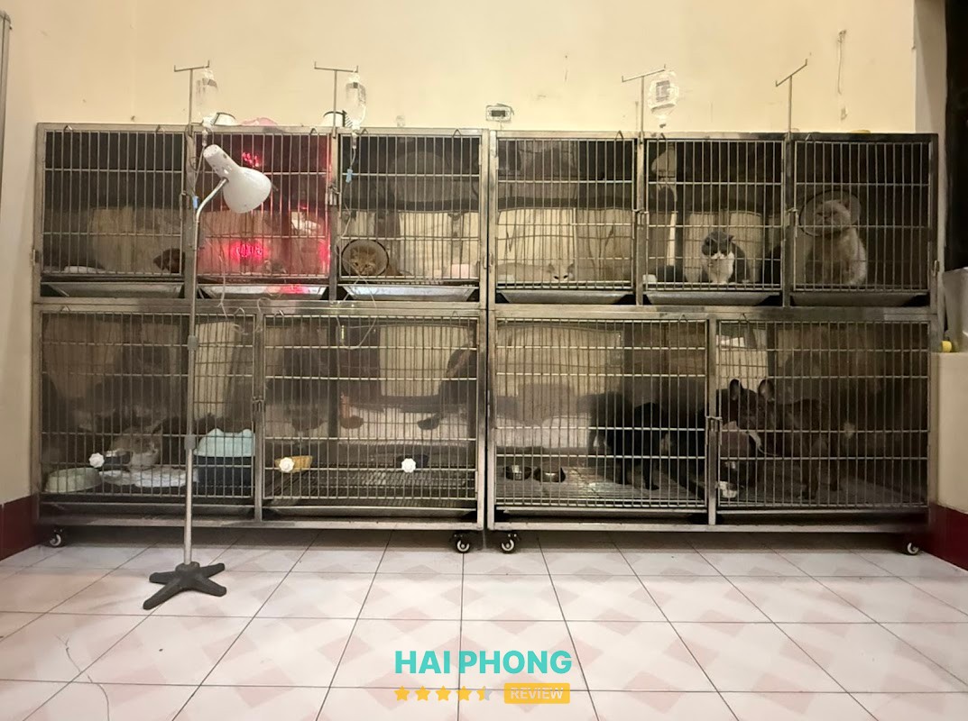 Phòng Khám Thú Y Việt Hùng - Hải Dương - ảnh 1