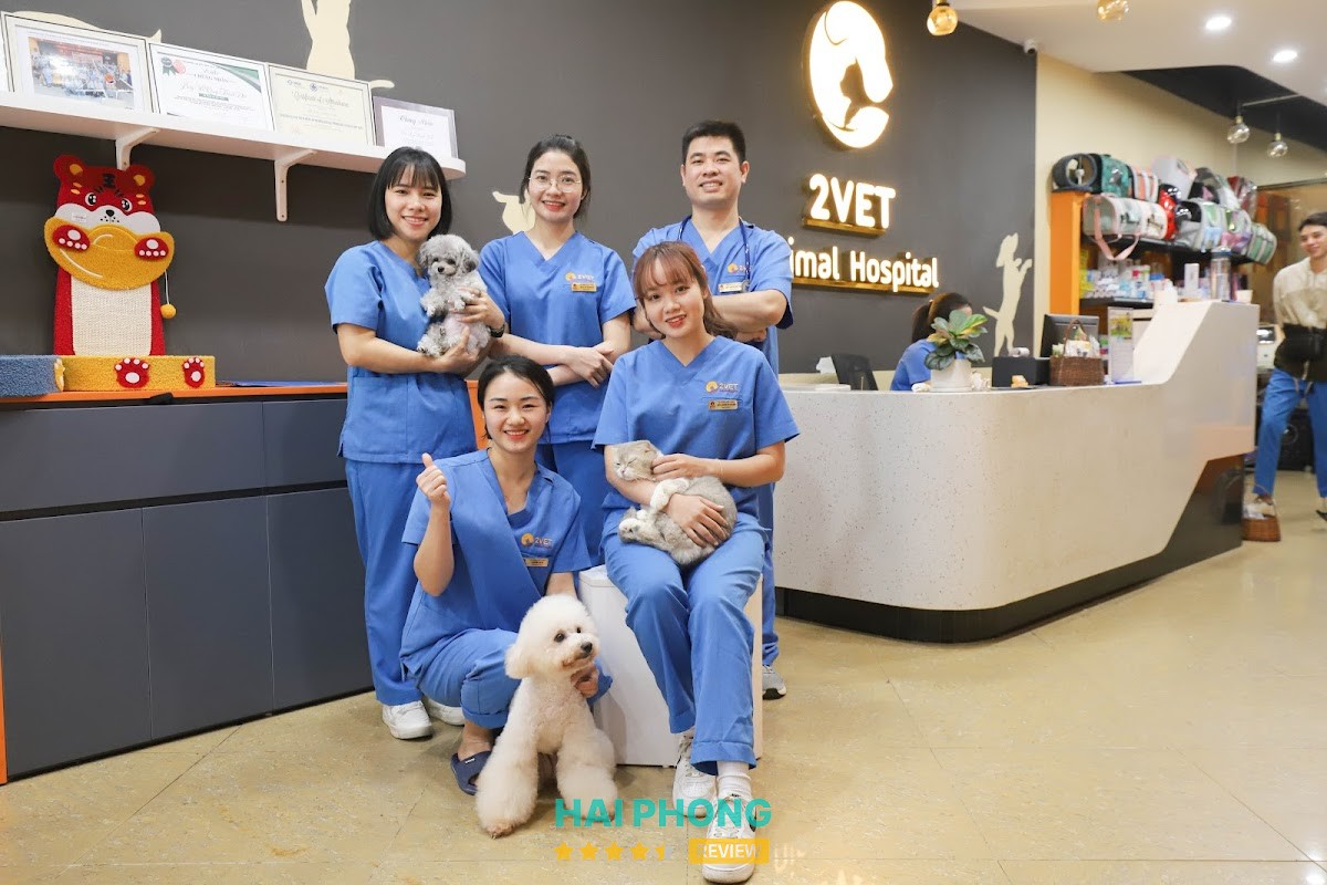 Bệnh viện Thú y 2Vet Hải Dương - ảnh 3