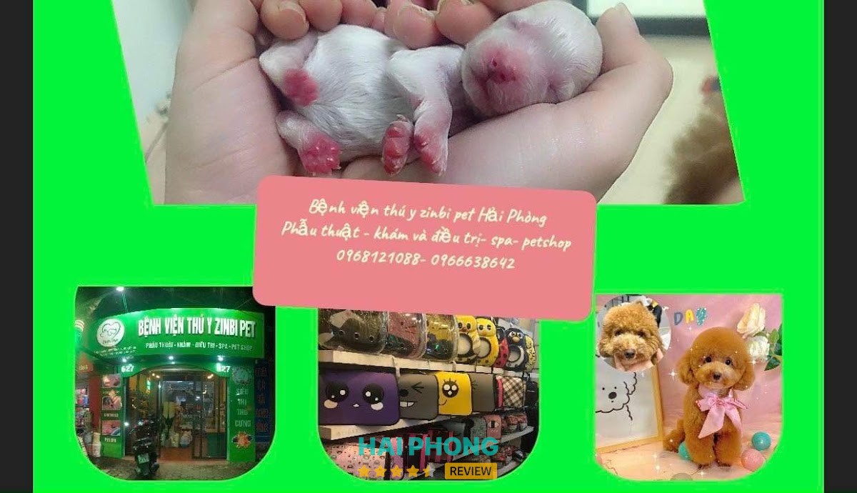 Bệnh viện thú y Zinbi Pet Kiến An