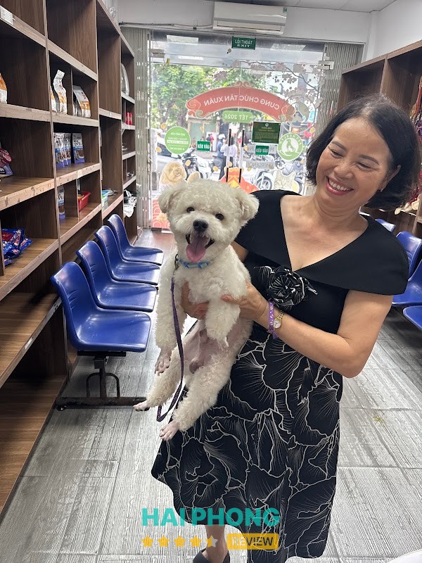 Bệnh Viện Thú Y PetHealth Hải Phòng – hình ảnh 2