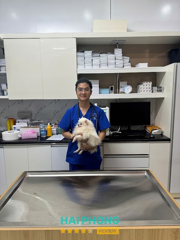 Bệnh Viện Thú Y Bình An Hải Phòng Lê Chân