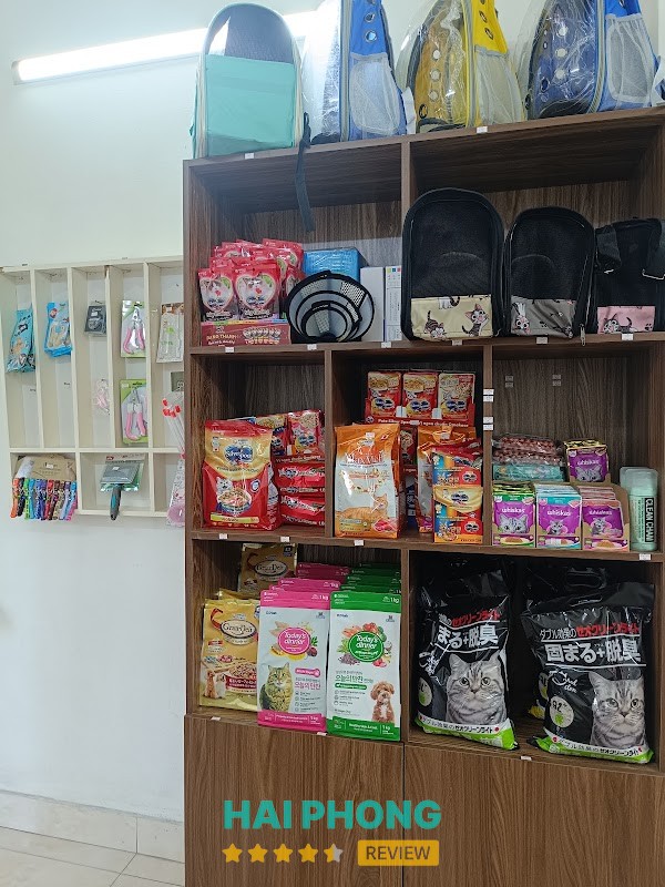 Phòng khám Thú Y Hải Phòng OK Pet – hình ảnh 2