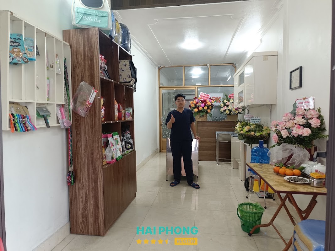 Phòng khám Thú Y Hải Phòng OK Pet – hình ảnh 3