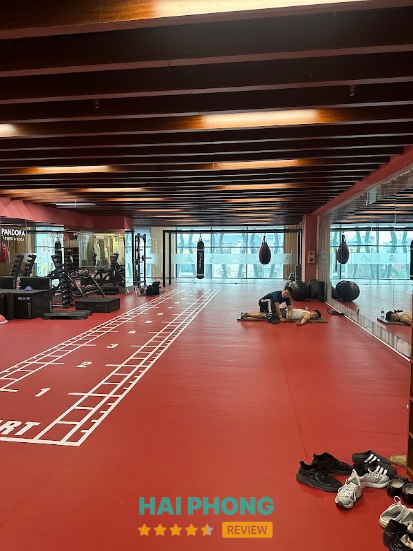 Khu vực tập luyện tại Pandora Fitness & Yoga Center