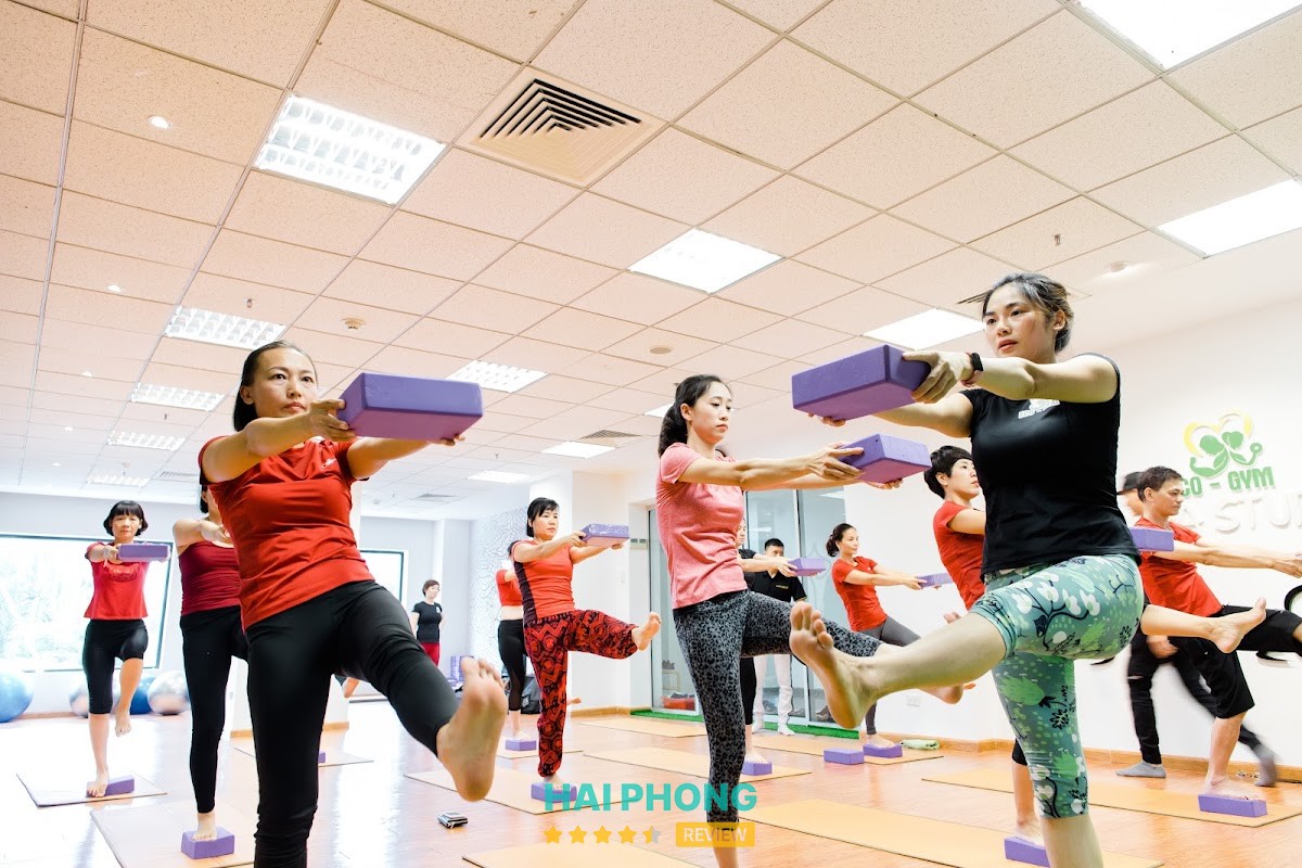Eco-Gym – hình ảnh 3