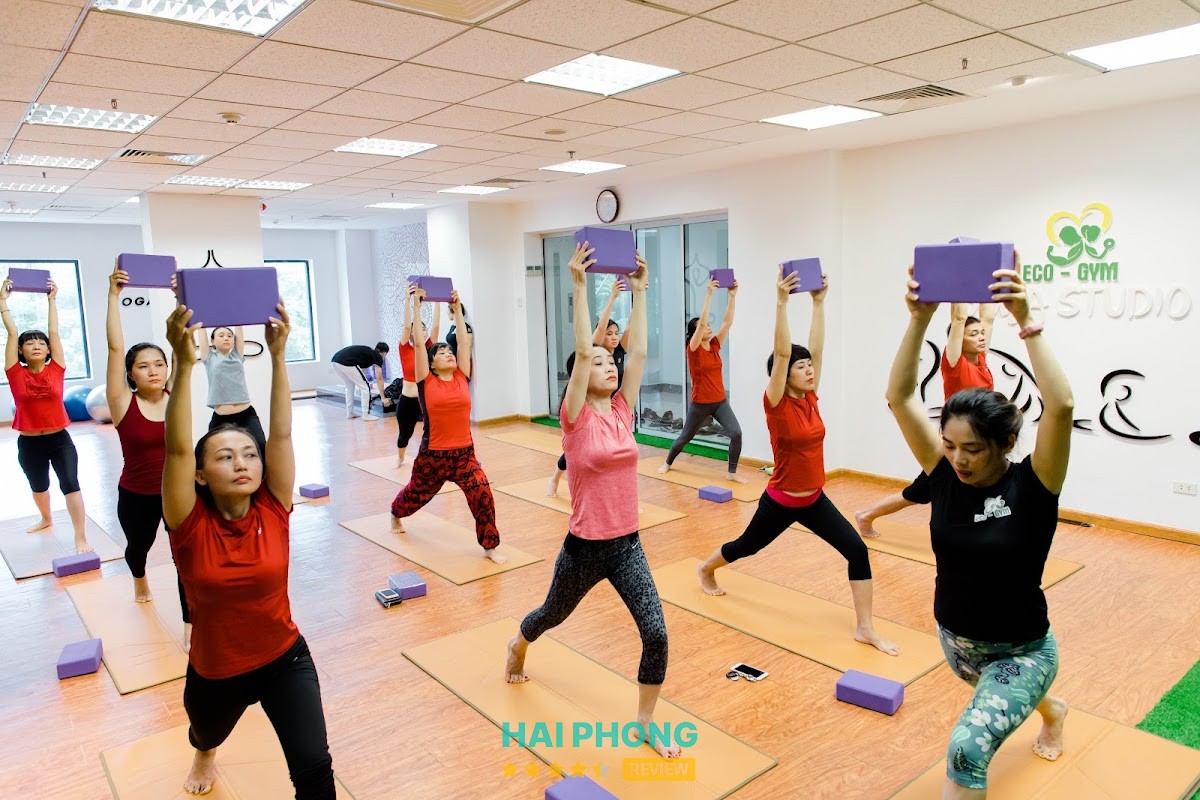 Eco-Gym – hình ảnh 2