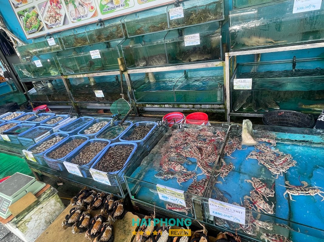 Không gian Nhà Hàng Hải Yến Cát Bà
