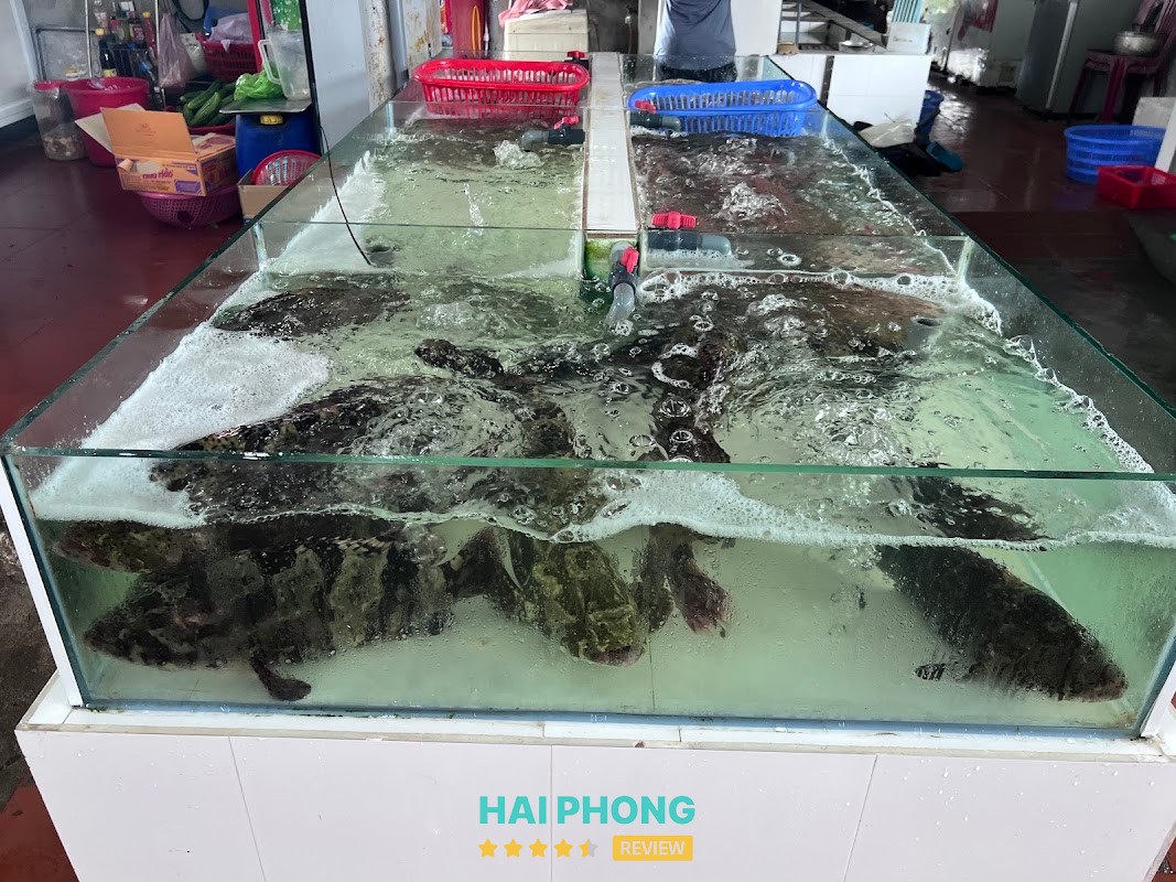 Nhà hàng Đồ Sơn 689 hình ảnh 2