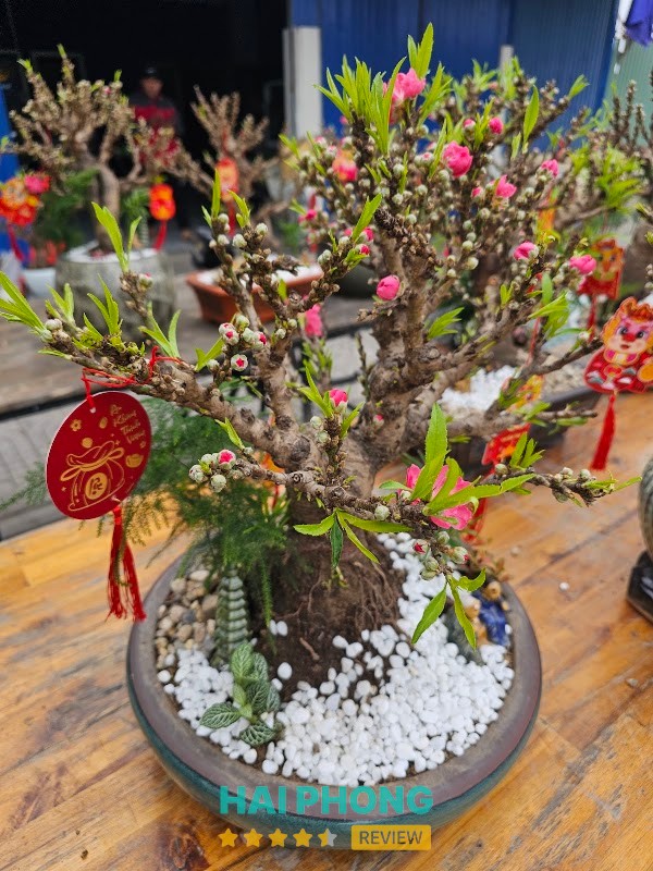 Phở Bò Nam Định Xuân Phóng Thủy Nguyên