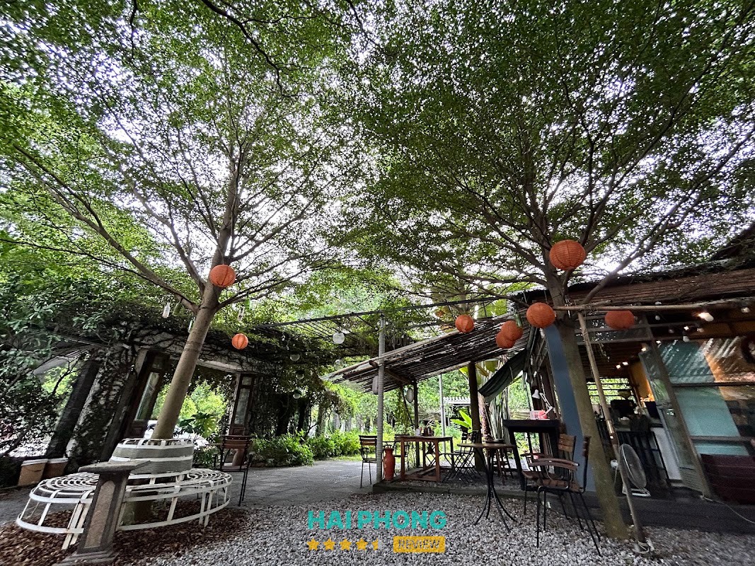 OASIS The Coffee Bar – view xanh