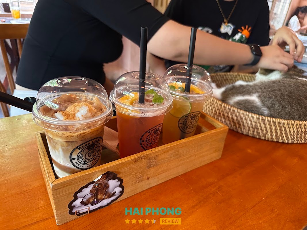 Moonlight Coffee - không gian cà phê mèo Hải Phòng