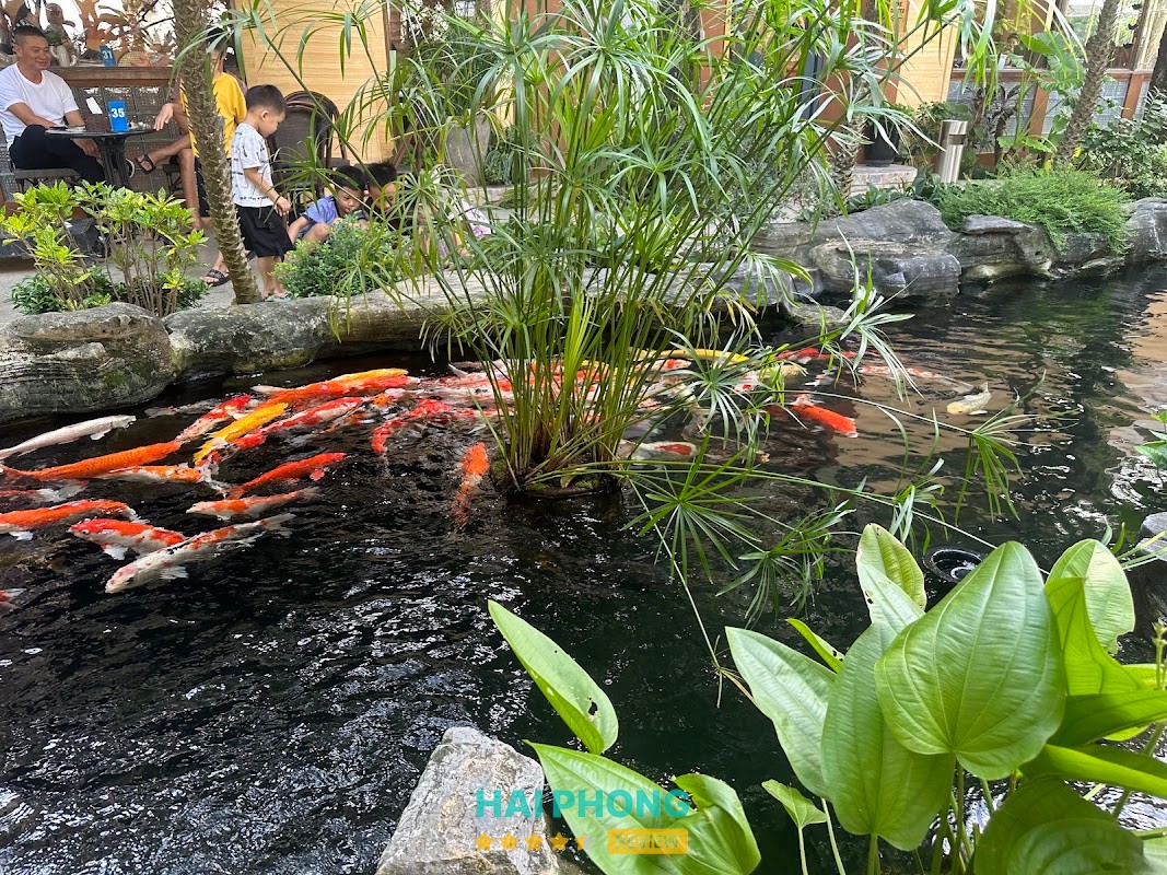 Chyba Cafe - quán cà phê sân vườn Hồng Bàng