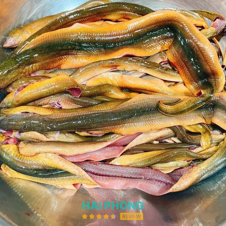 Cháo Sao Mai Hải Dương – hình ảnh 3