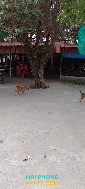 Không gian Âm Thực Bẩy Xoài