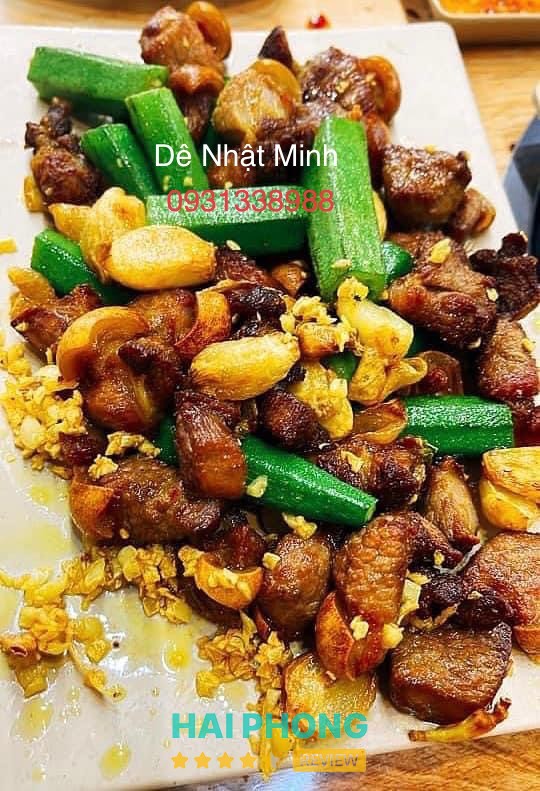 Dê Nhật Minh – hình ảnh 2