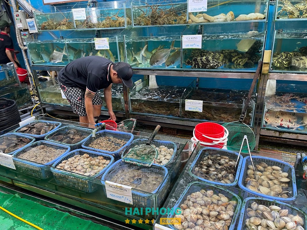 Nhà Hàng Hải Yến - Hải Sản Cát Bà - quán nhậu ở Cát Hải 2